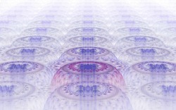 2014 04 30 Webs and Things 53-white.jpg